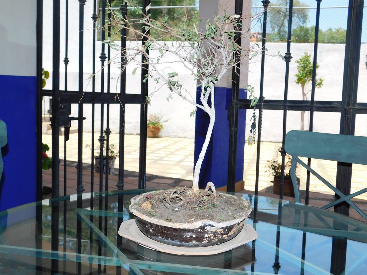 Hotel Casa Erizo 39 (Adults Only) Guanajuato Exterior foto